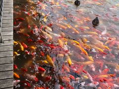 -泰安地下龙宫景区