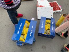 -南京众彩农副产品配送有限公司