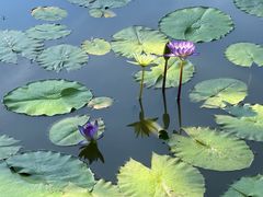 -国家植物园南园