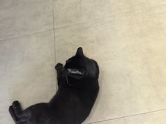 -塔拉苏咖啡(中信丹阳花园店)