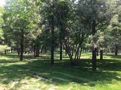-清华大学-甲所餐厅