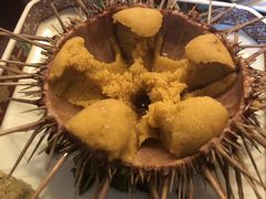 -樱の花亭日本料理店