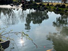 -杭州西湖柳莺里酒店