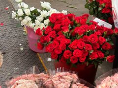 -循礼门鲜花花市(武汉循礼门店)