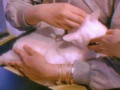 -Doors独立剧情密室(东门分店)