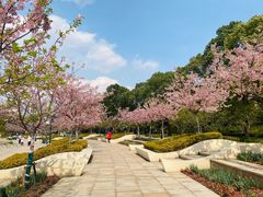 -新江湾城公园