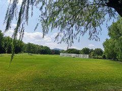 -白塔湖国家湿地公园