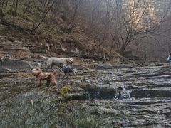 -孤山寨风景区