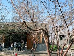-三里河公园