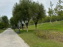 -瀛海足球主题公园