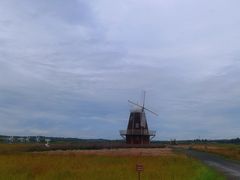 -御道口草原森林风景区