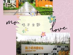 -前小桔亲子创意农场·草莓采摘·露营烧烤