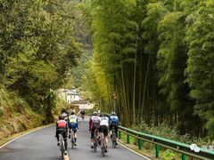 -GIANT捷安特自行车专卖店(金桥台儿庄路店)