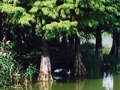 -白塘生态植物园