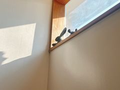 -铃木食堂(宽街店)