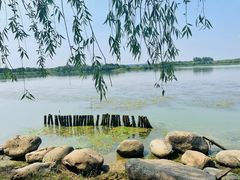 -九里河湿地公园