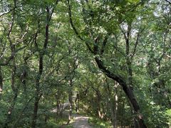 -南山风景名胜区