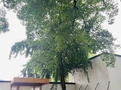 -食膳公园包子铺(烈士公园店)