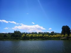 -东郊湿地公园