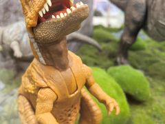 -TOYSRUS玩具反斗城(上海万象城店)