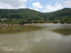 -梧桐庄园