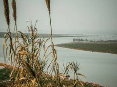 -南京市无想山景区