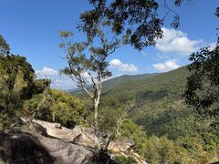 -海南霸王岭国家森林公园