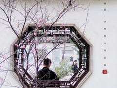 -八大山人梅湖景区