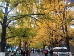 -四川大学(华西校区)