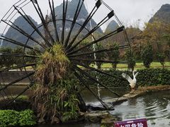 -靖西鹅泉风景区