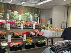 -鹿岛会员店(熙地港店)