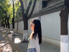 -北京国子监胡同