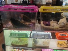 -和平大悦城