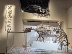 -国家自然博物馆