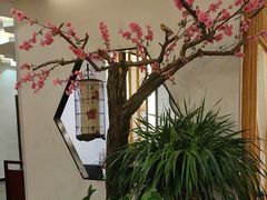 -泰山廊亦舫(丽景店)