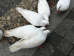 -飞来湖湿地公园