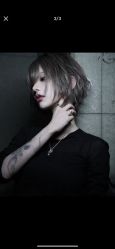 -YESIDO椰岛造型