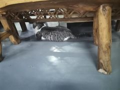 -蓝天射箭馆·专业射箭运动(诚丰广场店)