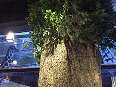 -Who乎coffee&bar
