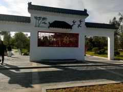 -武清南湖绿博园