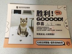 -伟伟宠物医院·CT影像中心·瑞派犬猫综合性门诊(汉口总院)