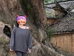 -杨家堂村