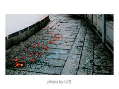 -HOHO餐厅(古子城店)