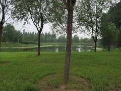 -东郊湿地公园