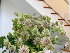 -森野花艺培训·企业团建活动沙龙