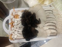 -草原传奇鲜羊火锅(桥北店)