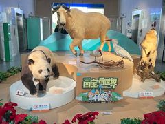 -陕西自然博物馆