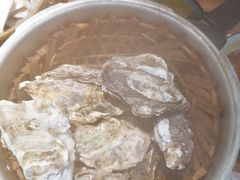 -臻炙大舍烤串(天龙家园店)