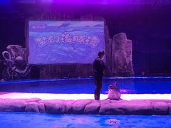 -华夏文旅海洋公园