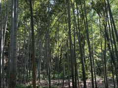 -杭州黄龙洞